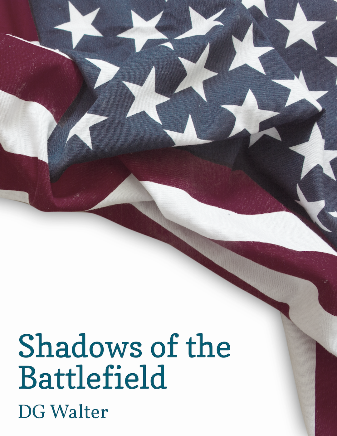Daniel Walter's poetry book, "Shadows of the Battlefield."